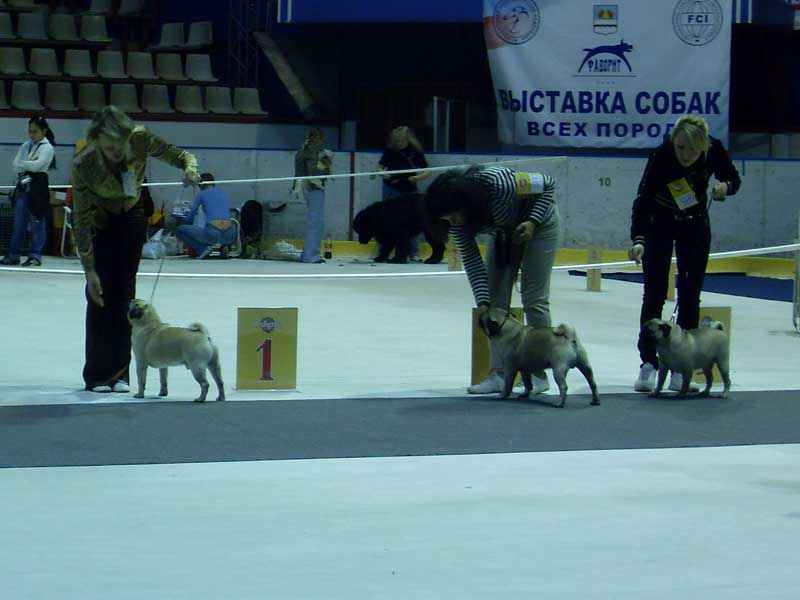 Интер Омск - 2008, мопсы